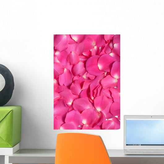 Soft Pink Rose Petals