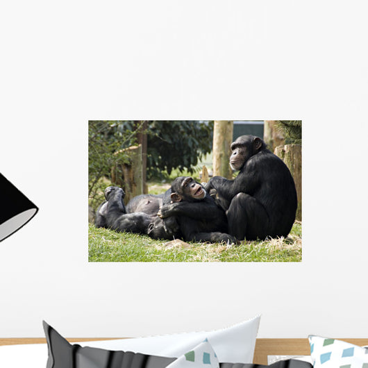 Monkey Business Wall Mural