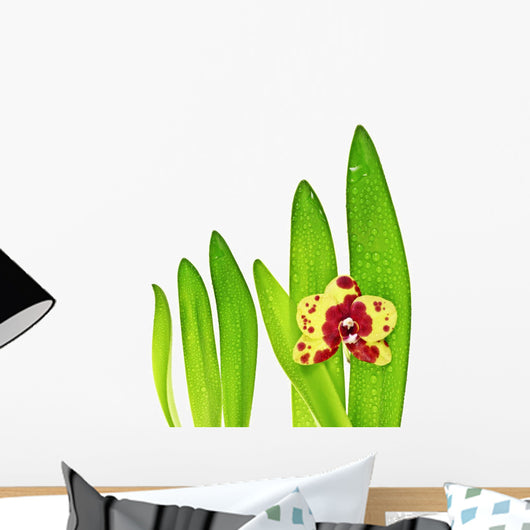 Orchid and Leaves Wall Mural