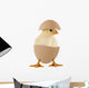 Little Chick Egg