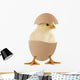 Little Chick Egg