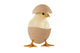 Little Chick Egg
