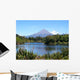 Mount Egmont Taranaki Wall Decal