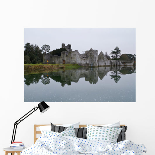 Ruins Castle Adare Ireland Wall Mural