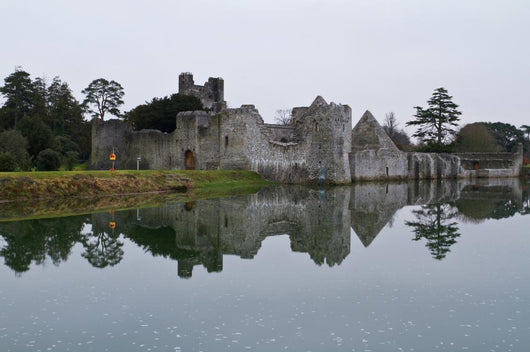 Ruins Castle Adare Ireland Wall Mural