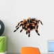 Mexican Red Knee Tarantula Wall Decal