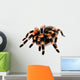 Mexican Red Knee Tarantula Wall Decal