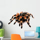 Mexican Red Knee Tarantula Wall Decal
