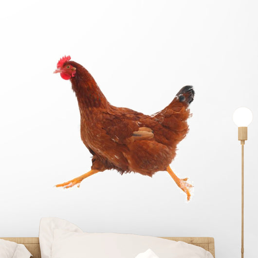 Running hen chicken Wall Decal