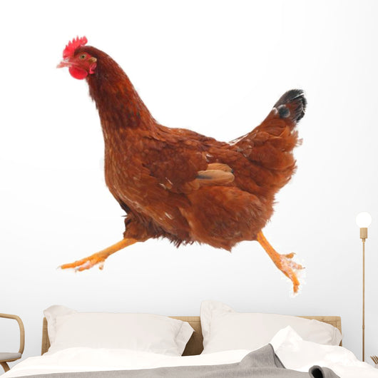 Running hen chicken Wall Decal
