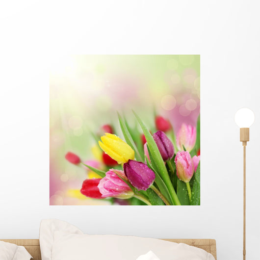 Spring Tulip Flowers