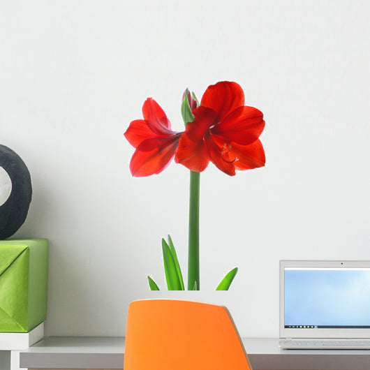 Amaryllis Wall Decal