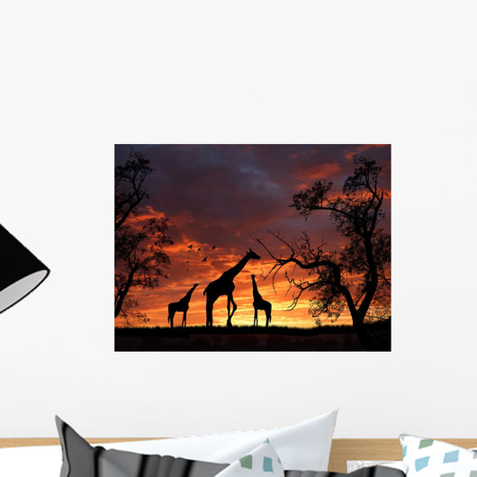 Giraffes on Sunset Wall Mural