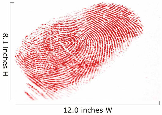 Fingerprint