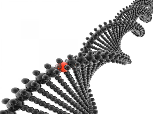 3d dna model Wall Decal