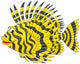 Firefish Wall Decal