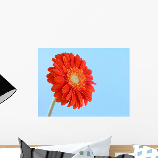 Pretty in Orange Wall Mural
