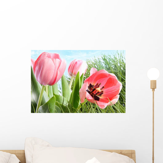 Colorful Spring Tulips Tall