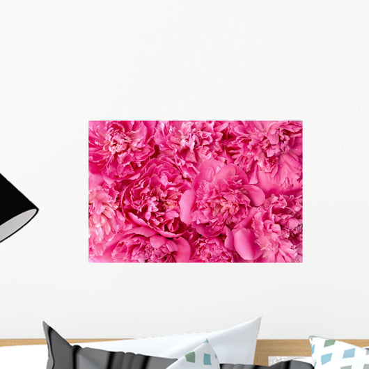 Peony Flower Heads