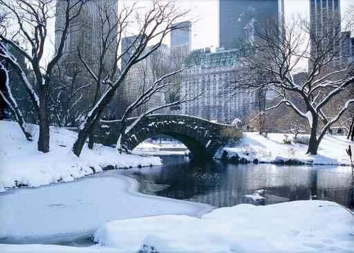 Winter Silence Wall Decal