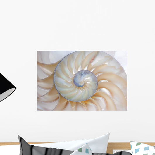Nautilus