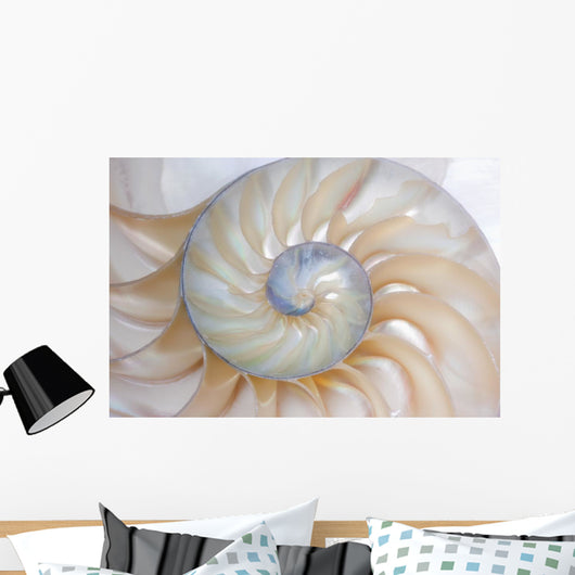 Nautilus