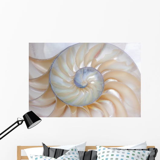 Nautilus