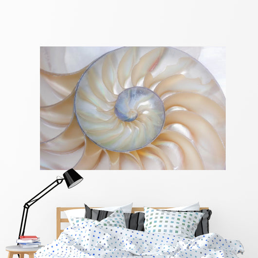 Nautilus