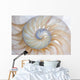 Nautilus
