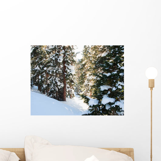 Winter Forest Wall Mural