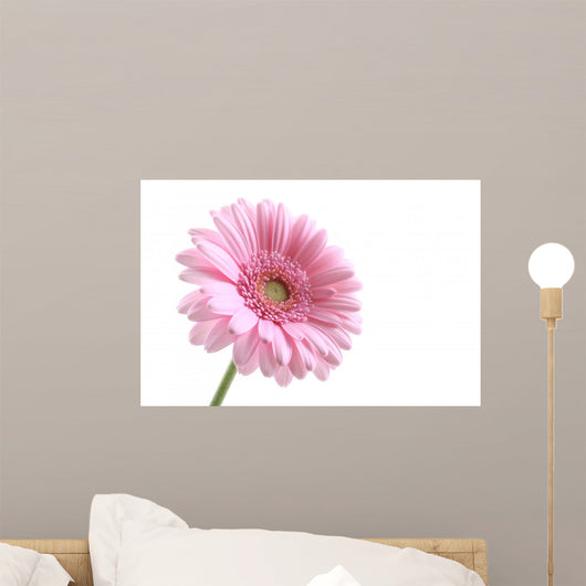 Pink Wall Decal