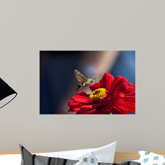 Wall Decal Design 2