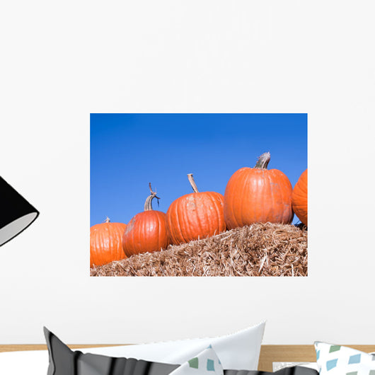 Pumpkins Wall Mural