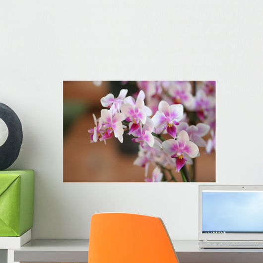 Orchideenblten
