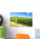 vineyards of Cote de Beaune near Pommard, Burgundy, France Wall Mural