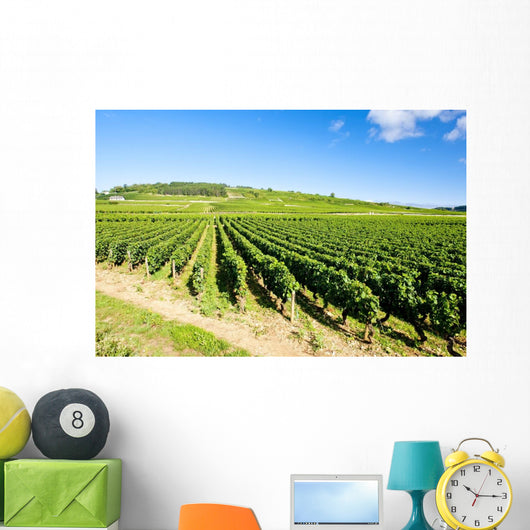 vineyards of Cote de Beaune near Pommard, Burgundy, France Wall Mural