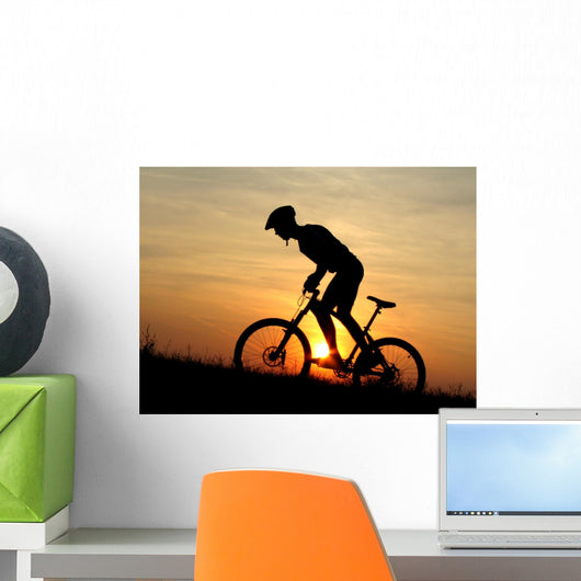Mountain Biker Wall Mural