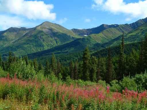 Mountains Alaska Wall Decal