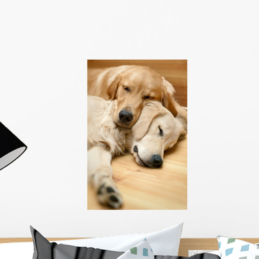 Two Dogs Lying