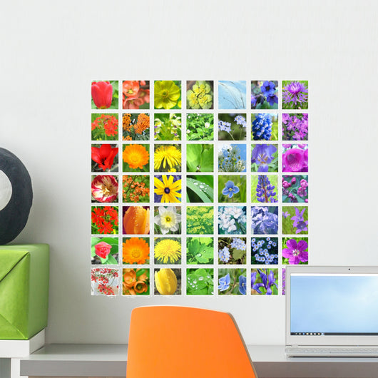 Flower Collage Rainbow Colors