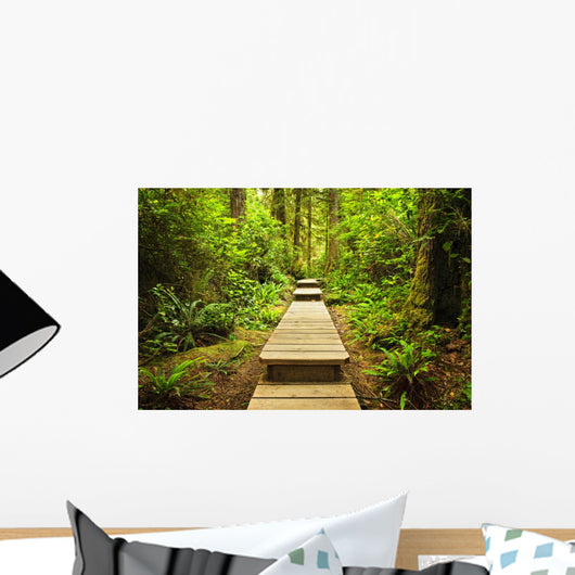 Path Temperate Rainforest Wall Mural