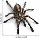 Tarantula Spider Wall Decal