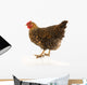 Golden Laced Wyandotte Chicken Wall Decal