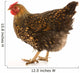 Golden Laced Wyandotte Chicken Wall Decal