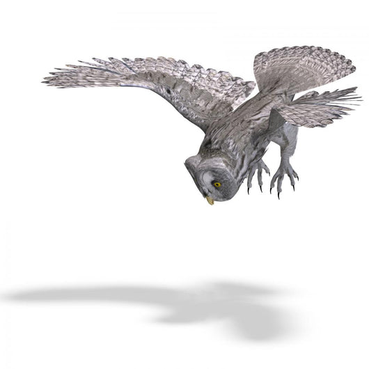 Flying Grey Owl Wall Decal