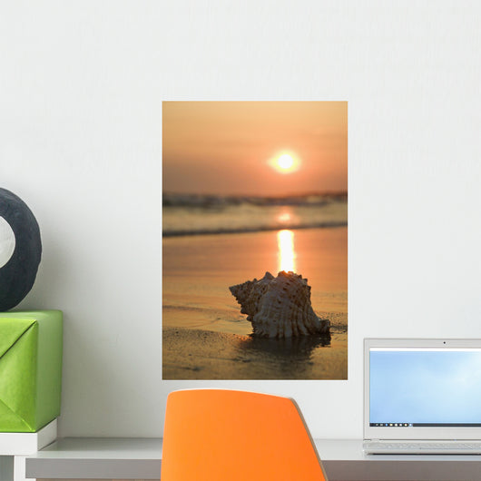 Seashell Beach