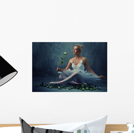Beautiful Ballet Dancer with