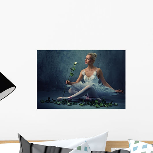 Beautiful Ballet Dancer with