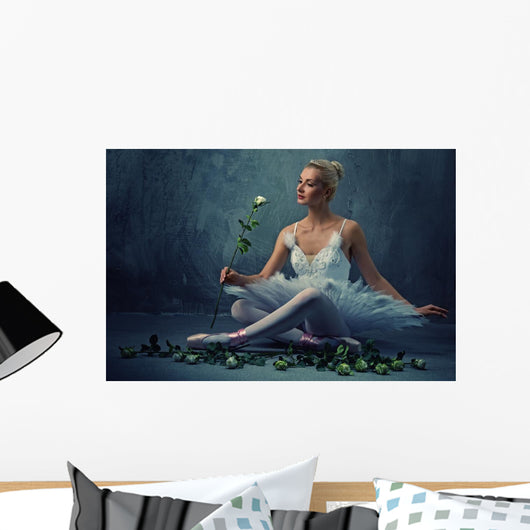 Beautiful Ballet Dancer with
