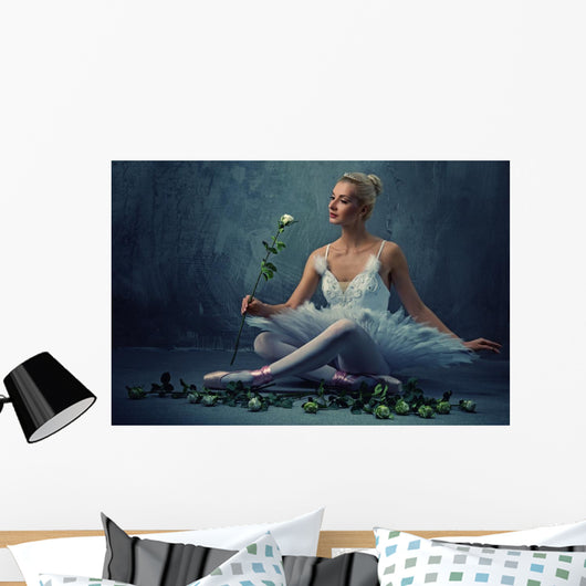 Beautiful Ballet Dancer with